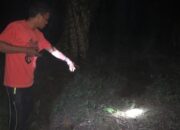 Ditemukan Mayat Lansia di Dusun Kabe, Kemungkinan Penyebab Kematian Faktor Medis