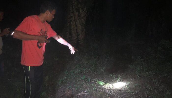 Ditemukan Mayat Lansia di Dusun Kabe, Kemungkinan Penyebab Kematian Faktor Medis